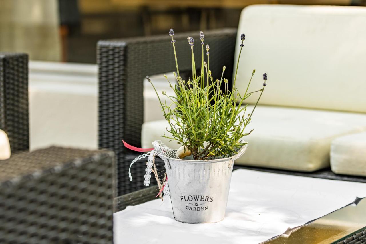 Hotel Schuetzen ไรน์เฟลเดน ภายนอก รูปภาพ